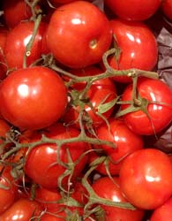 Tomaten - anbauen und ernten